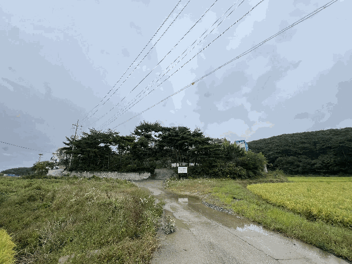 충청남도 태안군 안면읍 승언리 1574-7 숙박시설 경매 물건 사진