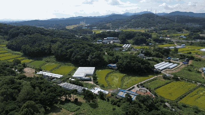 충남 당진시 면천면 전 경매 물건 사진 6 · 2025타경854