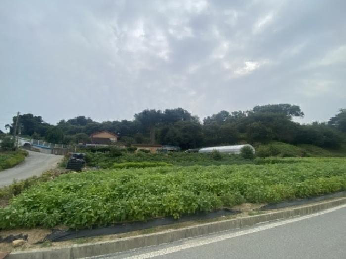 충남 당진시 면천면 전 경매 물건 사진