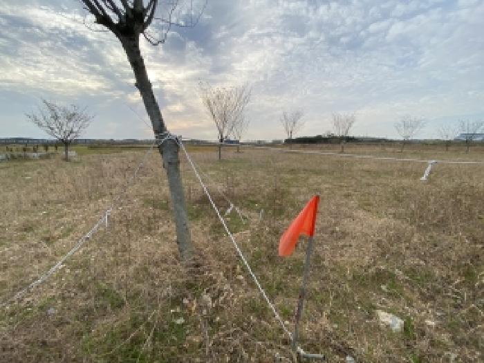충남 당진시 송산면 대지 경매 물건 사진