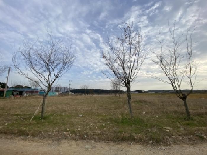 충남 당진시 송산면 대지 경매 물건 사진 2 · 2025타경856