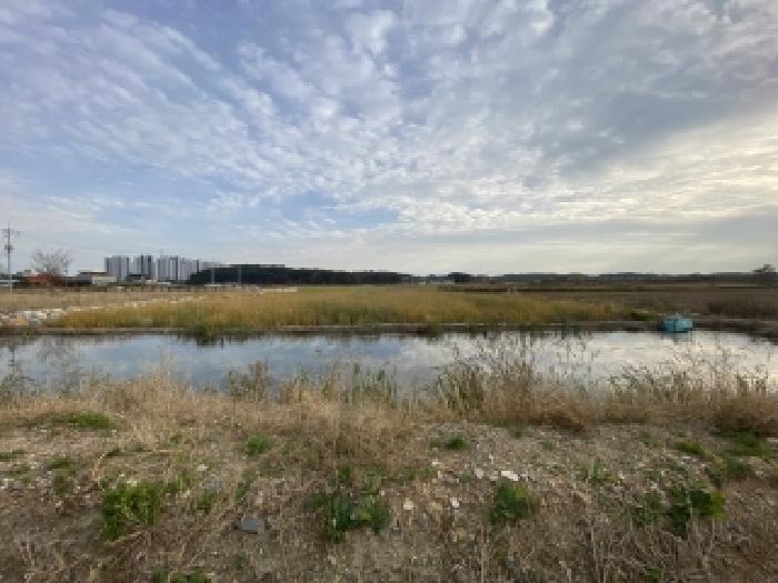 충남 당진시 송산면 대지 경매 물건 사진 3 · 2025타경856