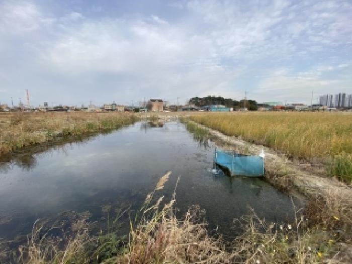 충남 당진시 송산면 대지 경매 물건 사진 4 · 2025타경856