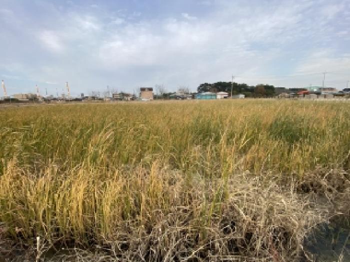 충남 당진시 송산면 대지 경매 물건 사진 6 · 2025타경856