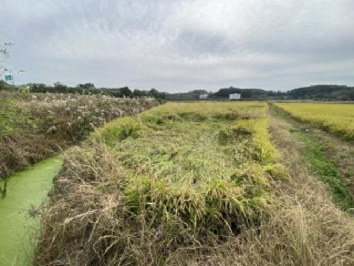 충남 당진시 송산면 전답 경매 물건 사진
