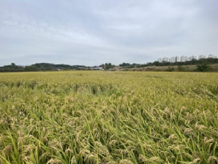 충남 당진시 송산면 전답 경매 물건 사진 2 · 2025타경871