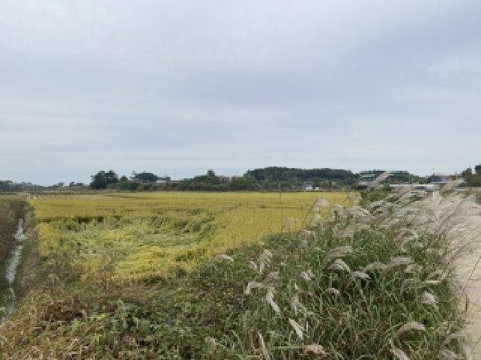 충남 당진시 송산면 전답 경매 물건 사진 5 · 2025타경871