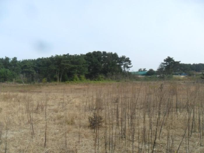 충남 태안군 원북면 도로 경매 물건 사진 2 · 2025타경877