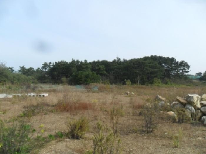 충남 태안군 원북면 도로 경매 물건 사진 4 · 2025타경877