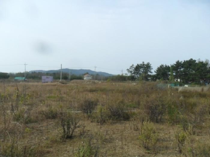 충남 태안군 원북면 도로 경매 물건 사진 5 · 2025타경877