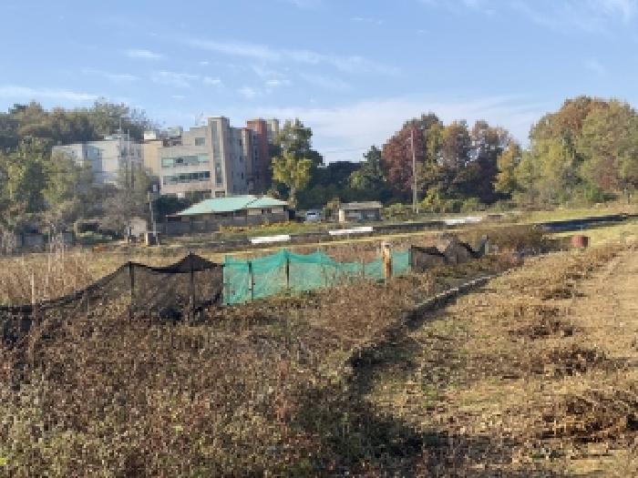 충남 당진시 송악읍 전답 경매 물건 사진 5 · 2025타경880