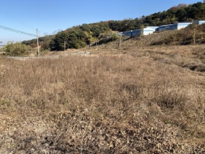 충남 당진시 송악읍 답 경매 물건 사진