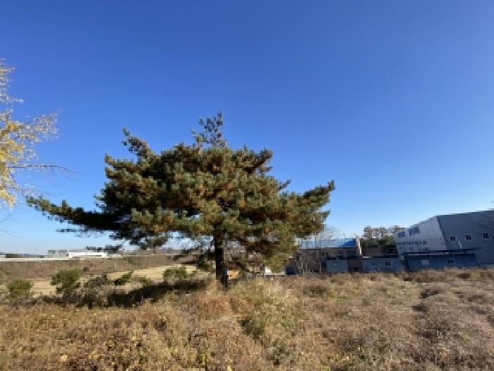 충남 당진시 송악읍 임야 경매 물건 사진 5 · 2025타경886