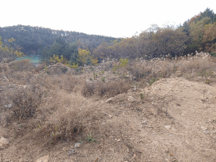 충청남도 태안군 태안읍 평천리 728-6 임야 경매 물건 사진