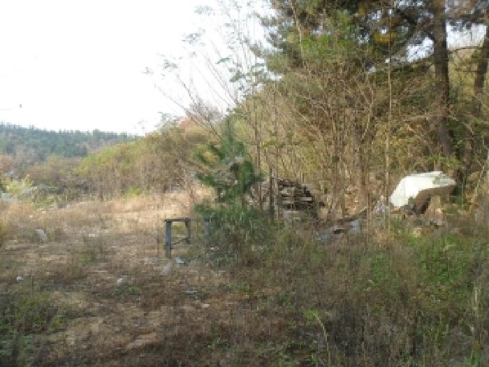 충남 태안군 태안읍 임야 경매 물건 사진 5 · 2025타경889
