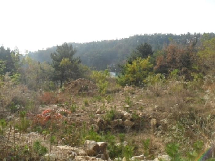 충남 태안군 태안읍 임야 경매 물건 사진 6 · 2025타경889