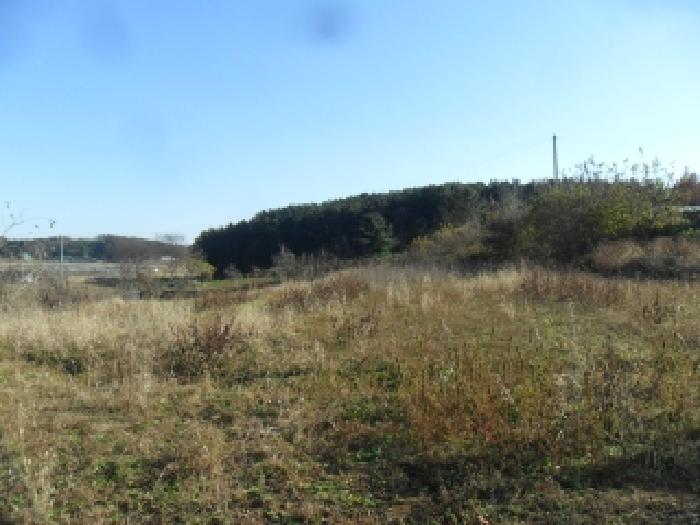 충남 태안군 남면 대지,임야,전답 경매 물건 사진 3 · 2025타경914