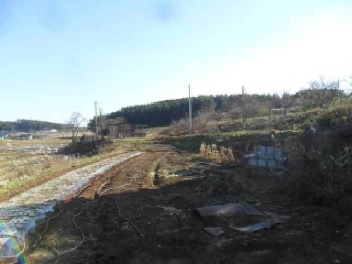 충남 태안군 남면 대지,임야,전답 경매 물건 사진 5 · 2025타경914