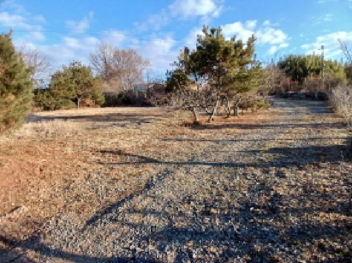 충남 서산시 해미면 종교시설 경매 물건 사진 3 · 2025타경932