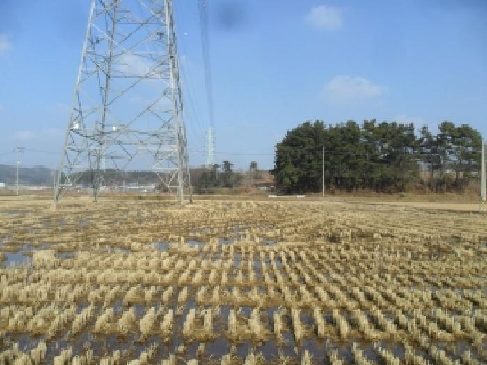 충남 태안군 태안읍 전답 경매 물건 사진