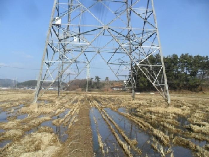 충남 태안군 태안읍 전답 경매 물건 사진 2 · 2025타경936