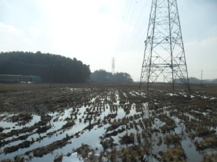 충남 태안군 태안읍 전답 경매 물건 사진 3 · 2025타경936