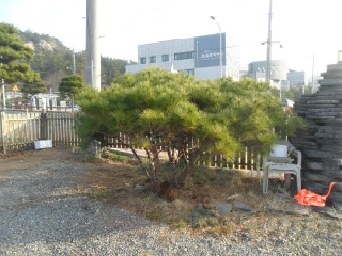 충남 태안군 태안읍 대지 경매 물건 사진 4 · 2025타경940