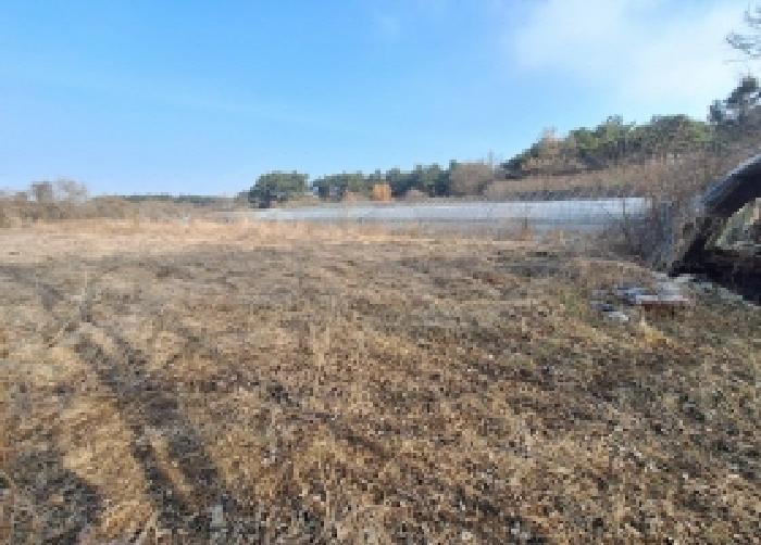 충남 서산시 지곡면 전 경매 물건 사진