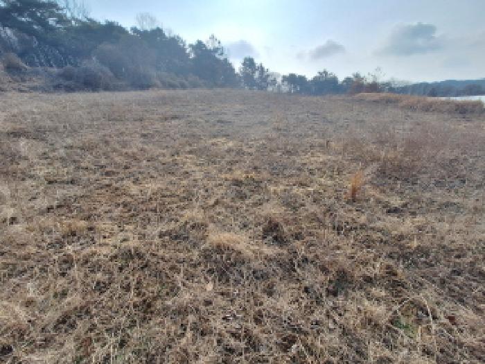 충남 서산시 지곡면 전 경매 물건 사진 3 · 2025타경941