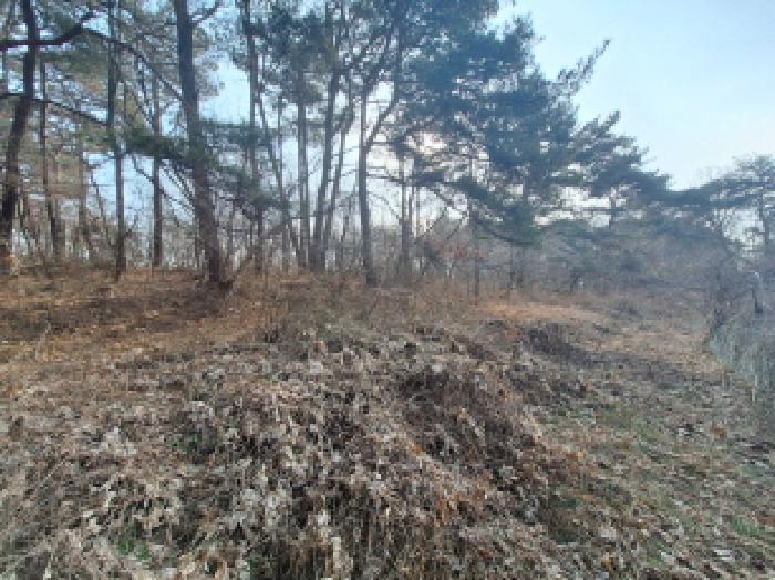 충남 서산시 지곡면 전 경매 물건 사진 4 · 2025타경941
