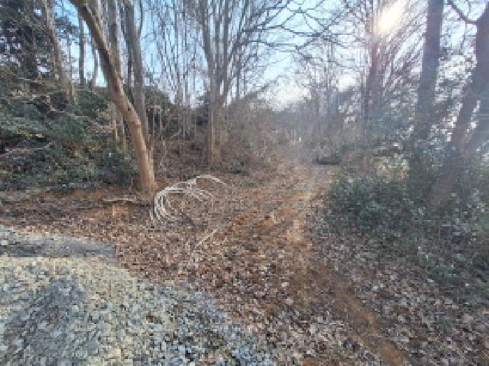 충남 서산시 지곡면 전 경매 물건 사진 6 · 2025타경941