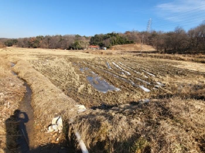 충남 당진시 송악읍 답 경매 물건 사진 4 · 2025타경961