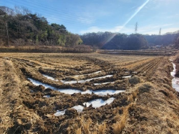 충남 당진시 송악읍 답 경매 물건 사진 5 · 2025타경961