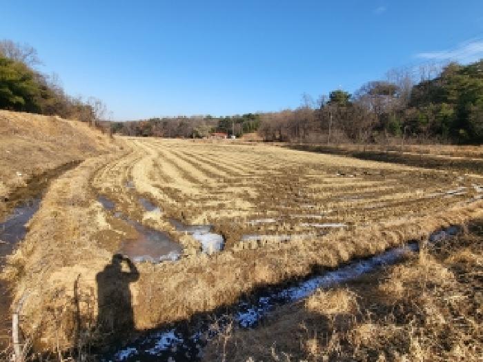 충남 당진시 송악읍 답 경매 물건 사진 6 · 2025타경961