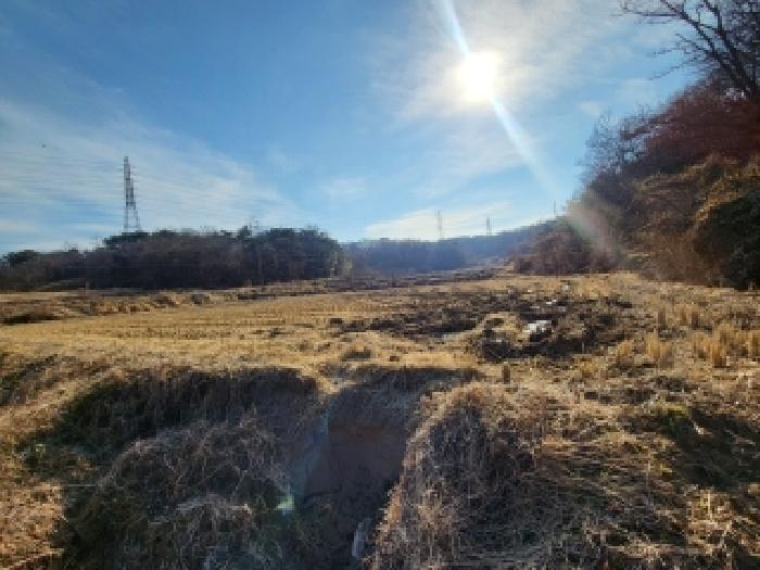 충남 당진시 송악읍 답 경매 물건 사진