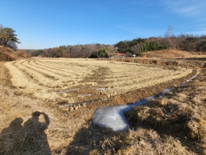 충남 당진시 송악읍 답 경매 물건 사진 2 · 2025타경961