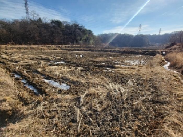 충남 당진시 송악읍 답 경매 물건 사진 3 · 2025타경961
