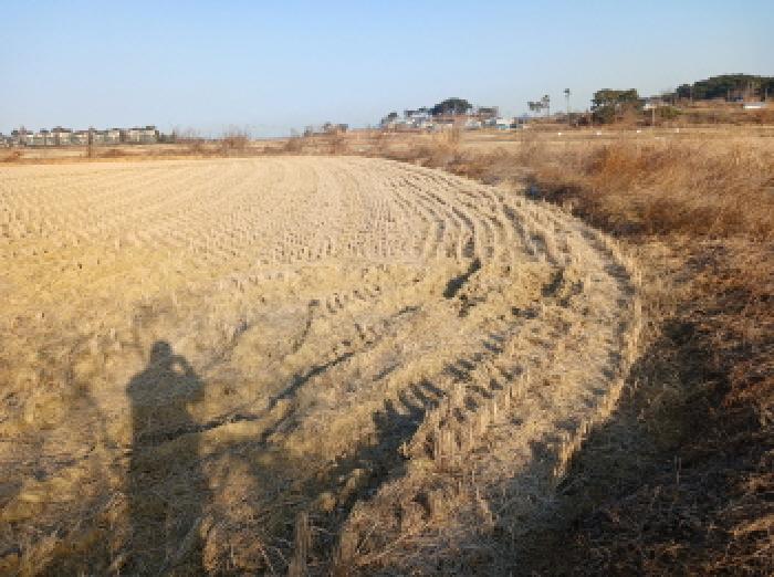 충남 당진시 석문면 전답 경매 물건 사진 2 · 2025타경979