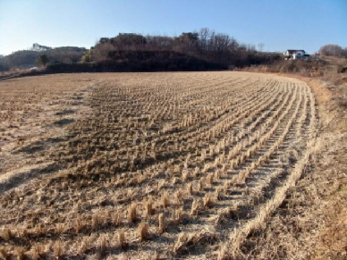 충남 당진시 석문면 전답 경매 물건 사진 3 · 2025타경979