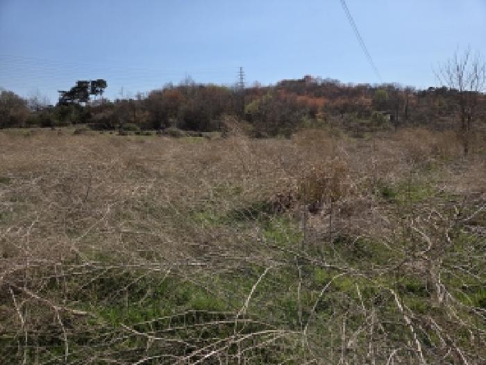 충남 당진시 송악읍 전답 경매 물건 사진 6 · 2026타경120