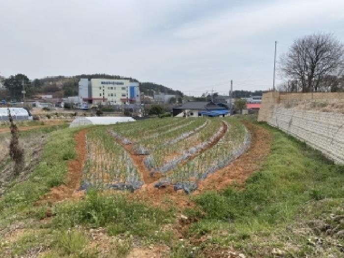 충남 태안군 남면 전답 경매 물건 사진 2 · 2026타경126