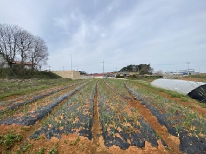충남 태안군 남면 전답 경매 물건 사진 3 · 2026타경126