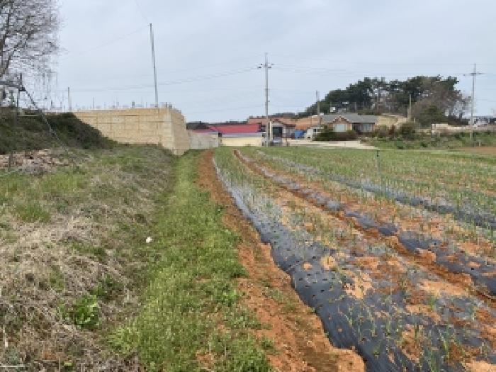 충남 태안군 남면 전답 경매 물건 사진 4 · 2026타경126