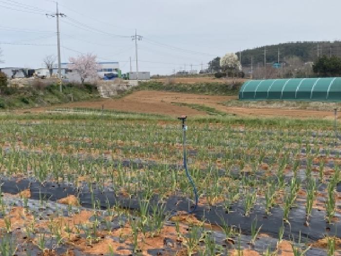 충남 태안군 남면 전답 경매 물건 사진 5 · 2026타경126