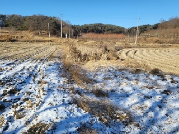 충남 당진시 시곡동 전답 경매 물건 사진 2 · 2026타경13