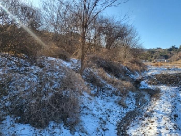 충남 당진시 시곡동 전답 경매 물건 사진 5 · 2026타경13
