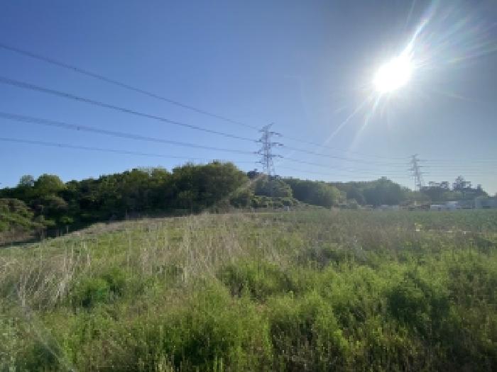 충남 서산시 팔봉면 임야 경매 물건 사진 4 · 2026타경133