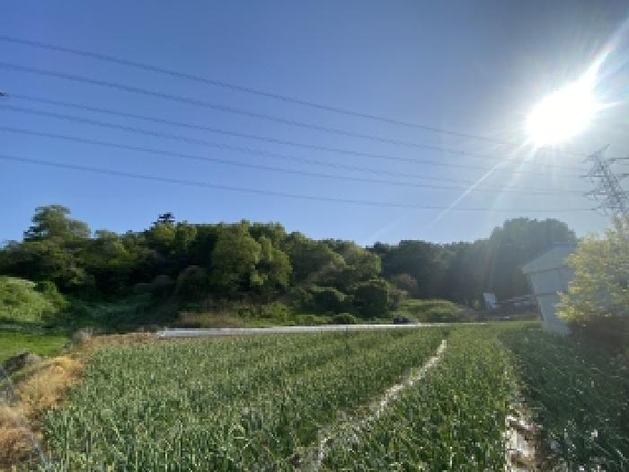 충남 서산시 팔봉면 임야 경매 물건 사진 5 · 2026타경133
