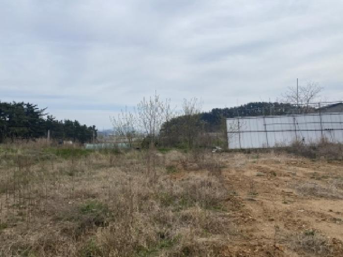 충남 태안군 소원면 과수원 경매 물건 사진 6 · 2026타경142