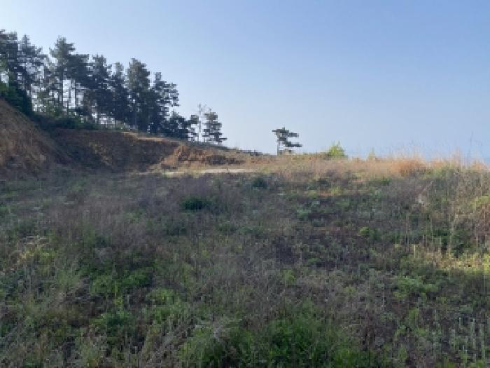 충남 태안군 남면 임야 경매 물건 사진 3 · 2026타경152
